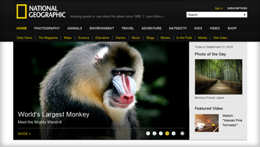 正品保障可靠的云呼呼死你